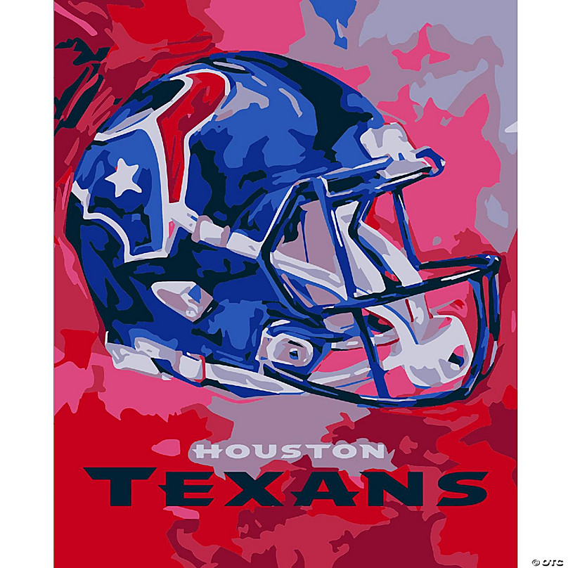 NFL Houston Texans Team Pride Paint By Number Kit