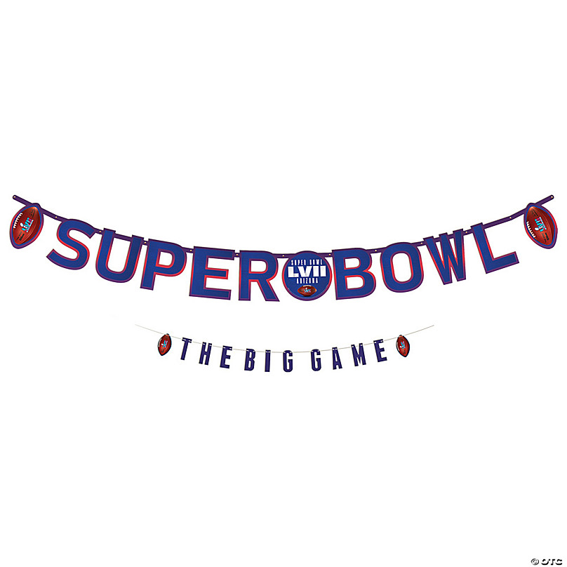NFL® Super Bowl LVIII Dinner Plates - 8 Ct. | Oriental Trading