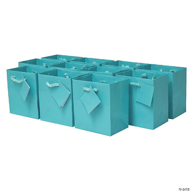 20 Pack Medium Teal Blue Party Favor Paper Gift Bags with Handles for Small  Business, Birthday Supplies Decorations, 10 x 8 x 4 in. 