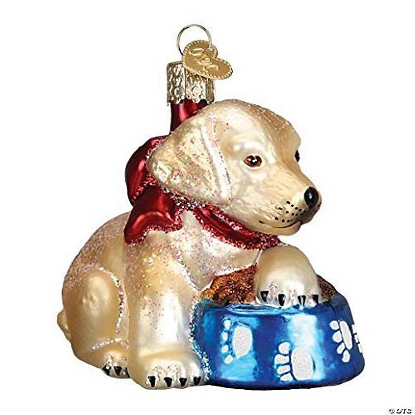 https://s7.orientaltrading.com/is/image/OrientalTrading/FXBanner_808/old-world-christmas-glass-blown-ornament-labrador-pup~14253371.jpg