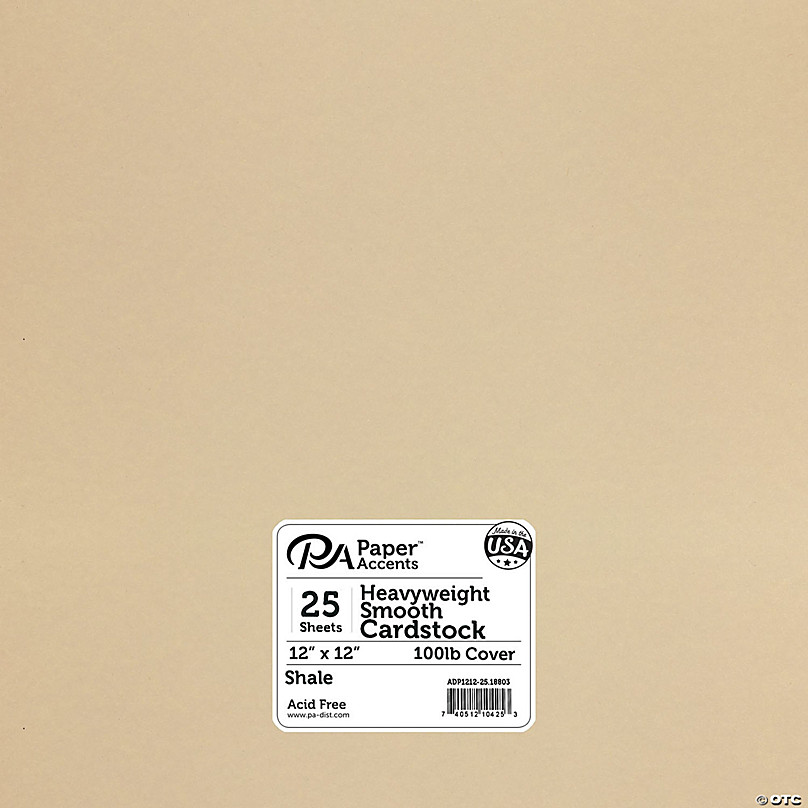 Paper Accents Cardstock 12x 12 Heavyweight Smooth 111lb 25pc
