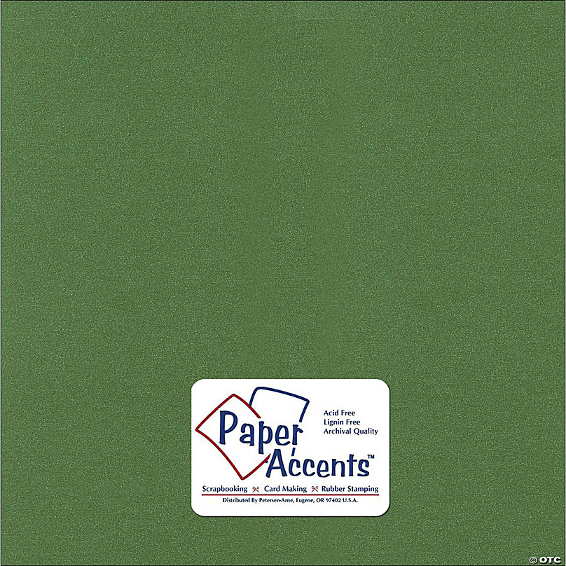 Paper Accents Cardstock 12x 12 Heavyweight Smooth 111lb 25pc