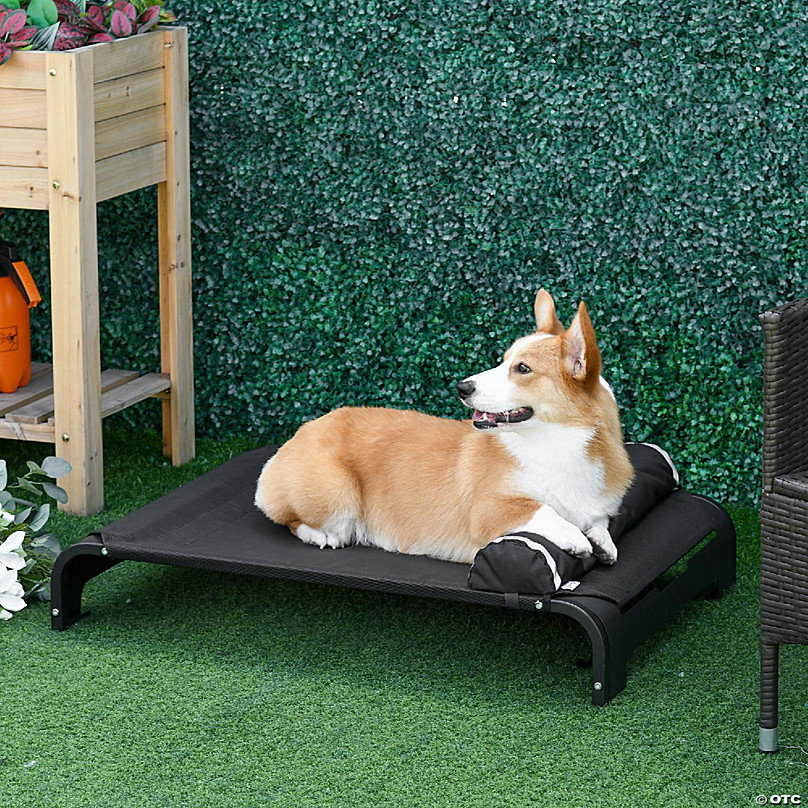 https://s7.orientaltrading.com/is/image/OrientalTrading/FXBanner_808/pawhut-elevated-dog-bed-w--removable-pillow-raised-pet-bed-w--steel-frame-and-breathable-mesh-fabric-for-small-and-medium-sized-dogs-black~14262329-a01.jpg