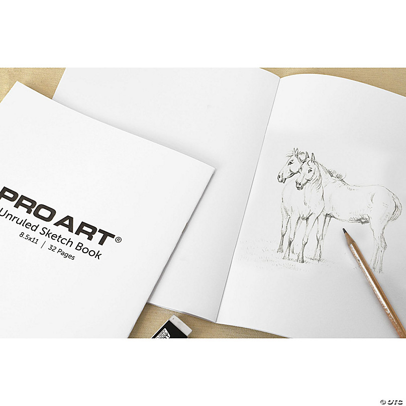 Pro Art Beginner Sketch Book 48pc