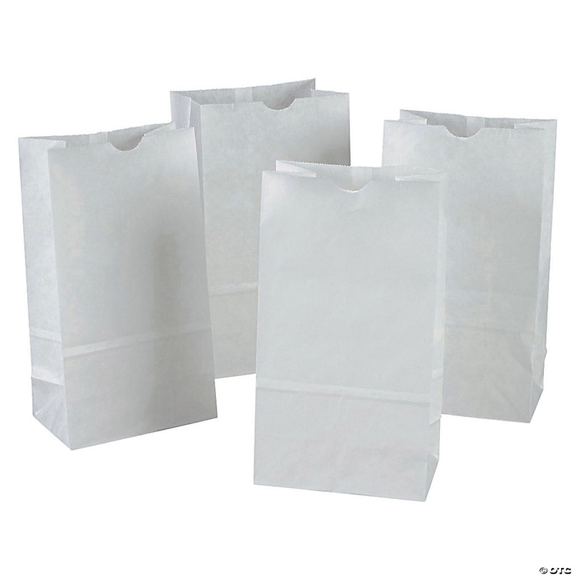 Rainbow® White Kraft Paper Bags, Pack of 100