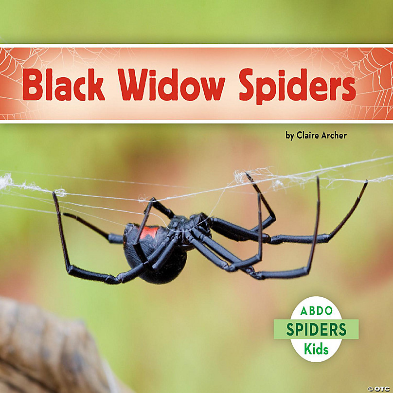 Black Widow Spider Medium 