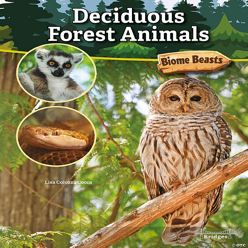 Rourke Educational Media Deciduous Forest Animals | Oriental Trading