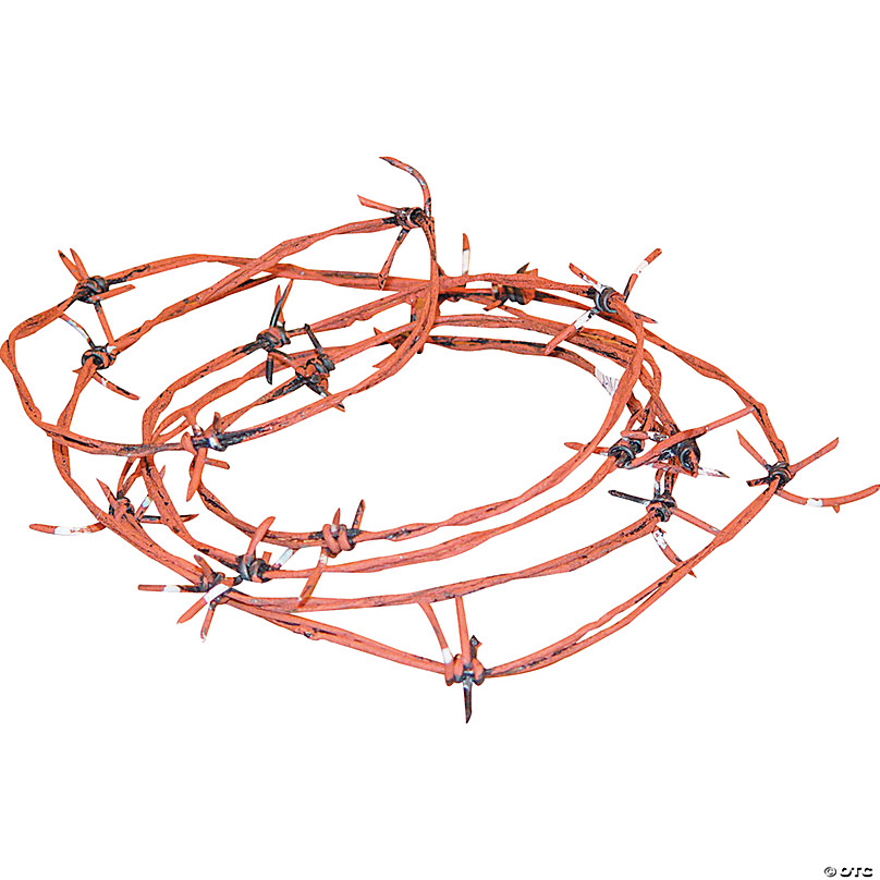 Rusty Barb Wire | Oriental Trading