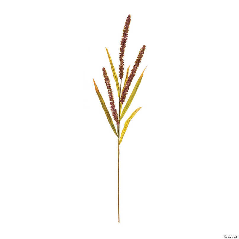 Seeded Plume Spray (Set of 12) | Oriental Trading