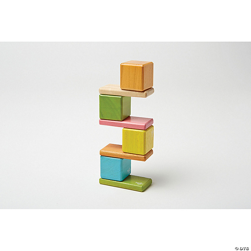 Tegu Magnetic Blocks - Kodo Kids