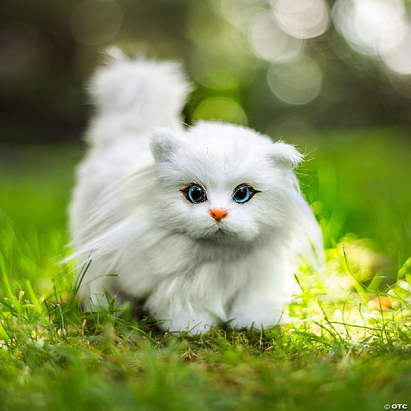 https://s7.orientaltrading.com/is/image/OrientalTrading/FXBanner_808/the-queens-treasures-18-inch-girl-and-boy-doll-american-pet-accessorys-white-fluffy-fur-kitty-cat-with-collar~14320241.jpg