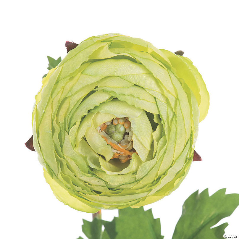 Vickerman 23 Artificial Green Ranunculus Stem - 4/pk