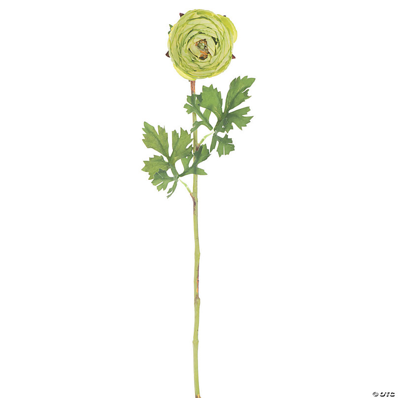 Vickerman 23 Artificial Green Ranunculus Stem - 4/pk