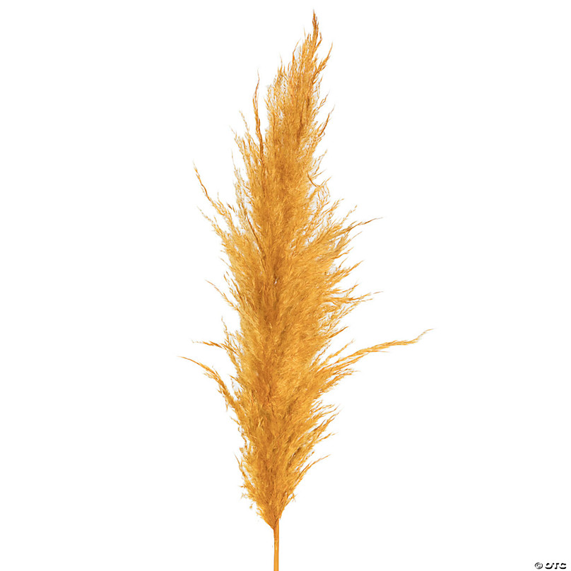 Vickerman 46 Dried Aspen Gold Pampas Grass, 6 Pieces