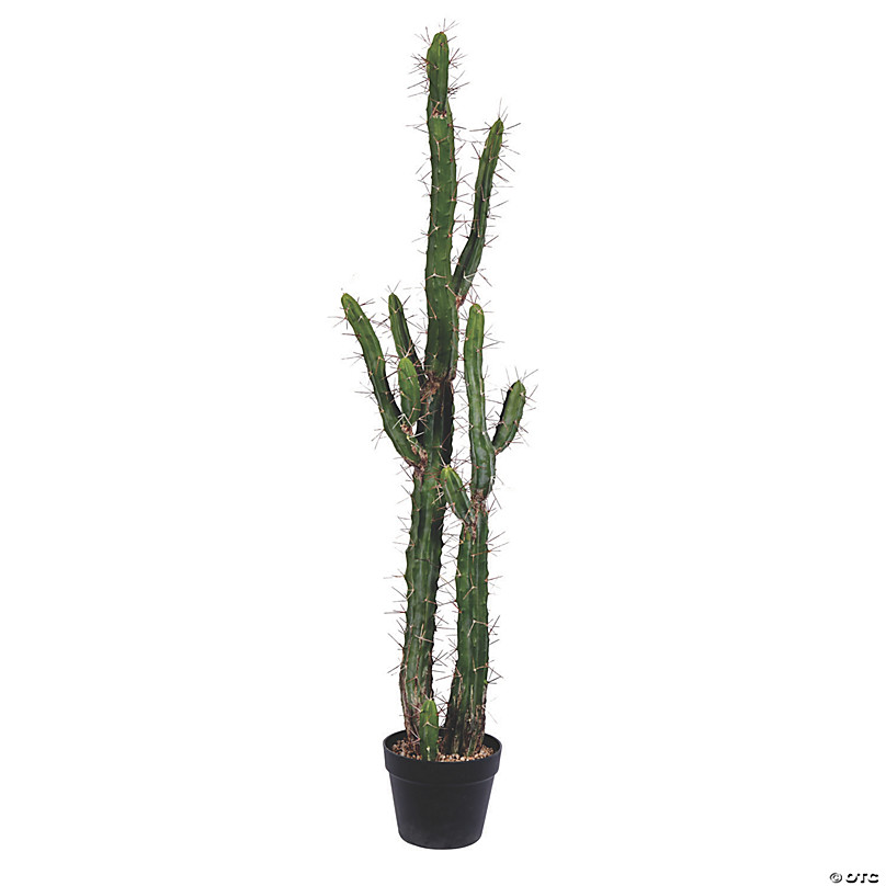 https://s7.orientaltrading.com/is/image/OrientalTrading/FXBanner_808/vickerman-46-green-cactus-in-black-plastic-planters-pot~13938734.jpg