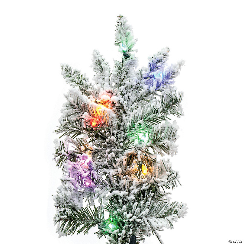 https://s7.orientaltrading.com/is/image/OrientalTrading/FXBanner_808/vickerman-9-flocked-utica-fir-slim-artificial-christmas-tree-multi-colored-led-lights~14127033-a02.jpg