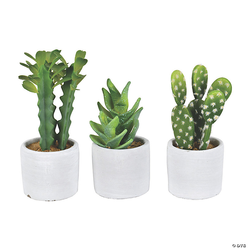 https://s7.orientaltrading.com/is/image/OrientalTrading/FXBanner_808/vickerman-set-of-3-assorted-7-potted-cactus-plants~13938790.jpg