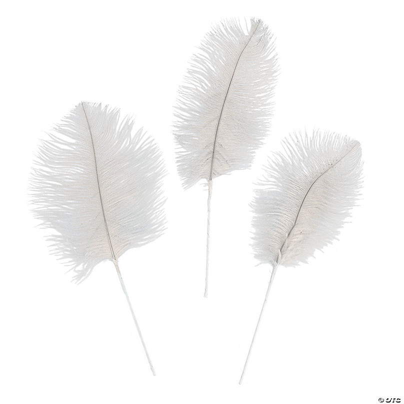 loose ostrich feathers