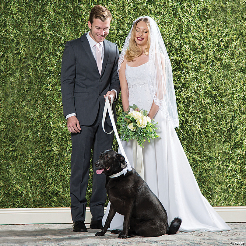 White Ring Bearer Dog Collar and Leash