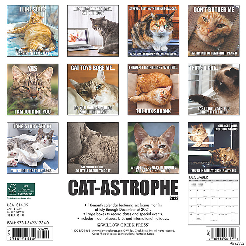 Willow Creek Cat-astrophe 2021 Mini Calendar 7" x 7" 