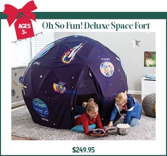 Oh So Fun! Space Fort