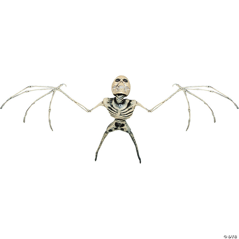 11" Bat Skeleton Image