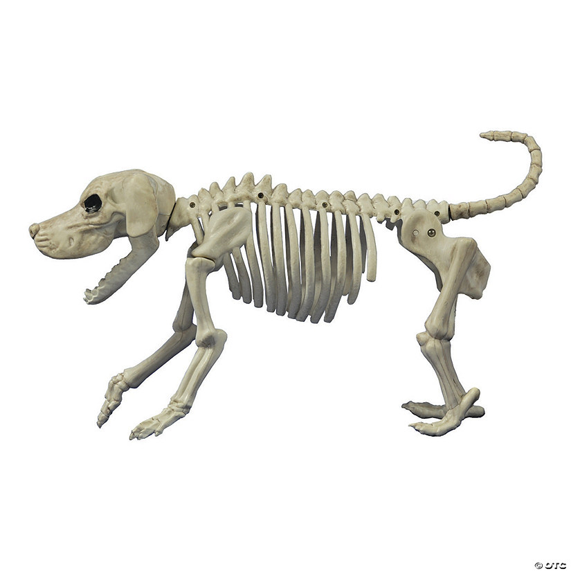 11" Beagle Bonez Dog Skeleton Halloween Decoration Image