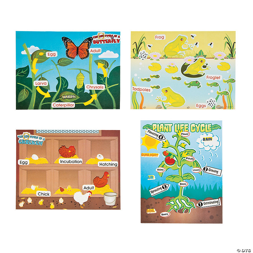 11" x 8 1/2" Life Cycle Paper Sticker Scene Assortment - 12 Pc. Image