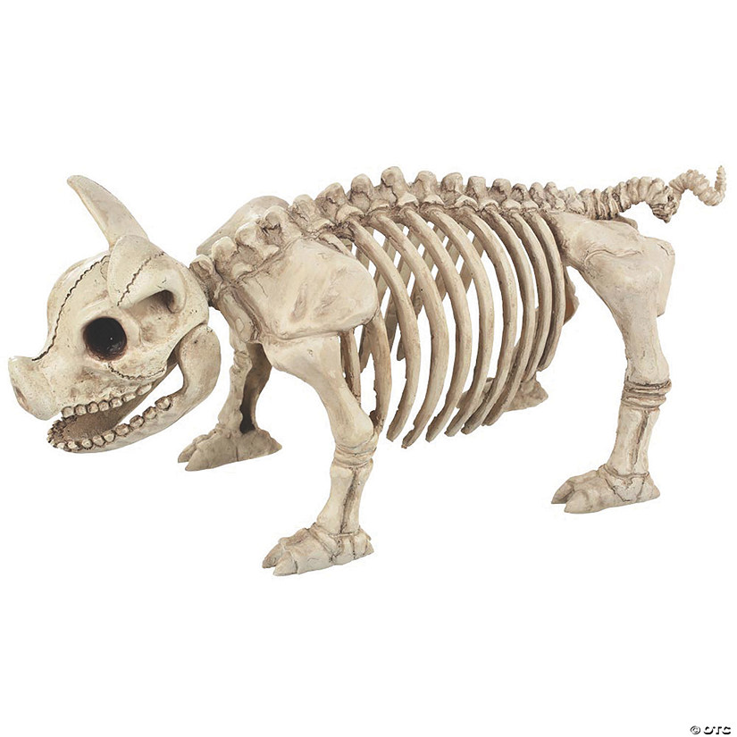 12" Pig Skeleton Halloween Decoration Image