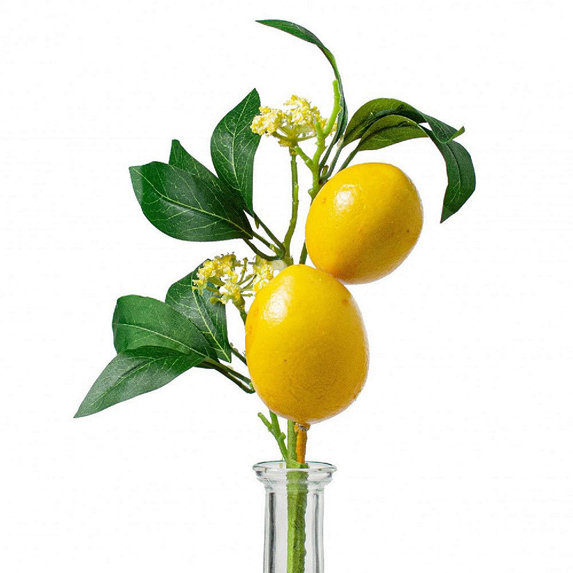 13" Lemon Leaf Spray Image