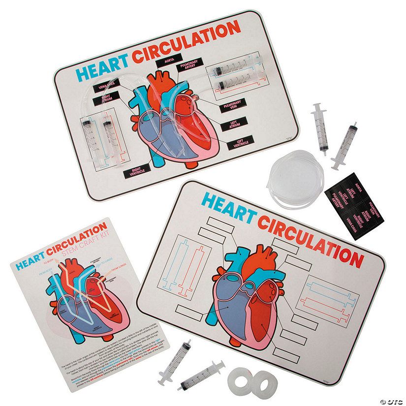 17" x 11" STEM Heart Circulation Activity Learning Challenge Craft Kit - Makes 12 Image
