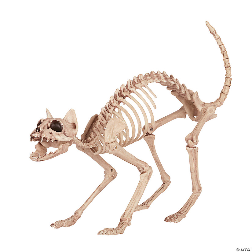 18" Skeleton Cat Image