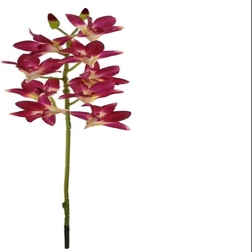 1pc 24" Dendrobium Spray Purple Image