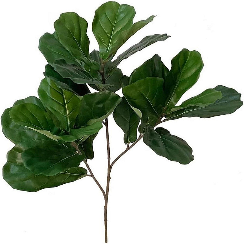 1pc 34" Fiddle Leaf Branch Image