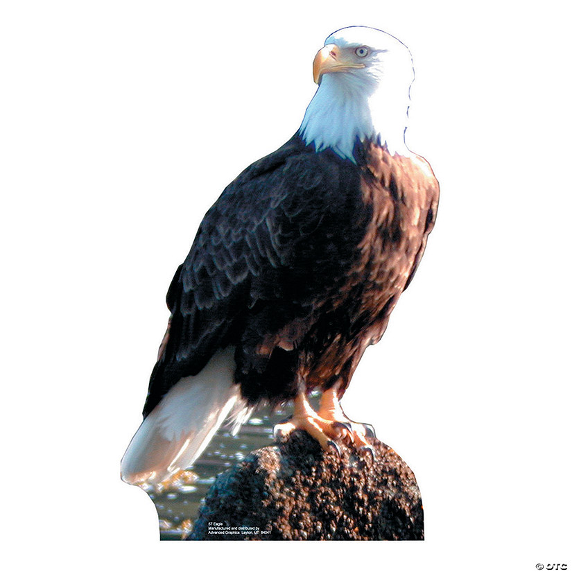 2 Ft. Bald Eagle Cardboard Cutout Stand-Up Image