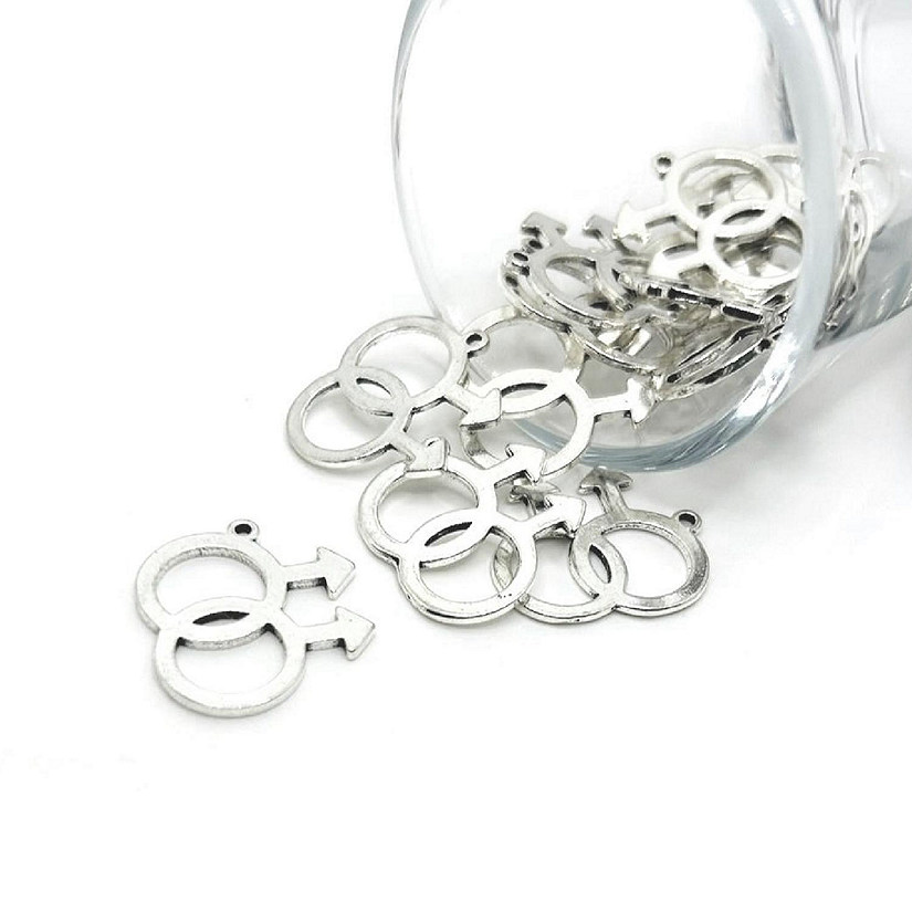 20 Pcs Silver Gay Pride Charms Image