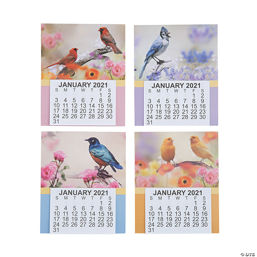 2021 Large Print Bird Calendar Magnets Discontinued