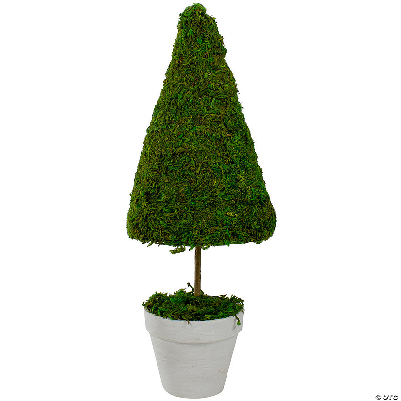 21" Reindeer Moss Potted Artificial Spring Floral Topiary Tree Image