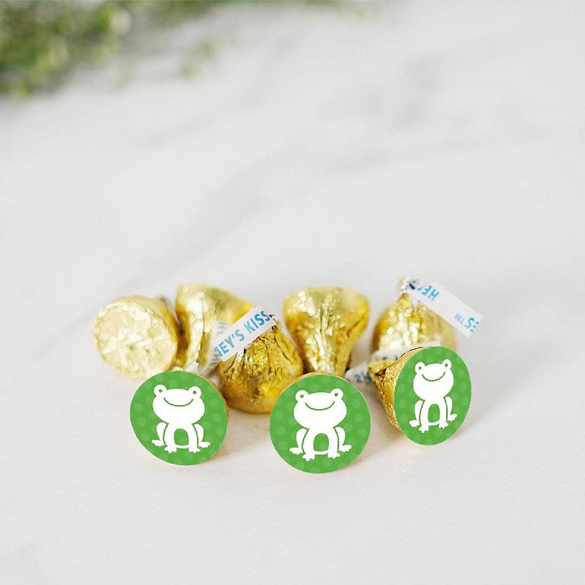 216PK Frog Birthday Chocolate Labels Image