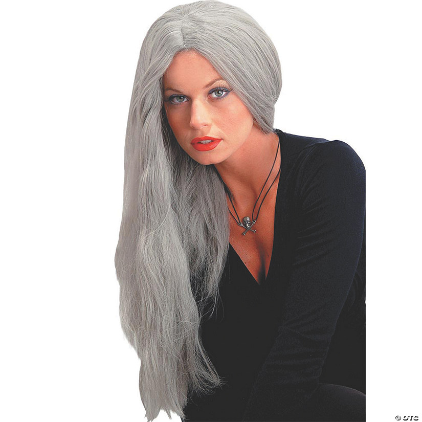 24" Adults Gray Straight Wig Image