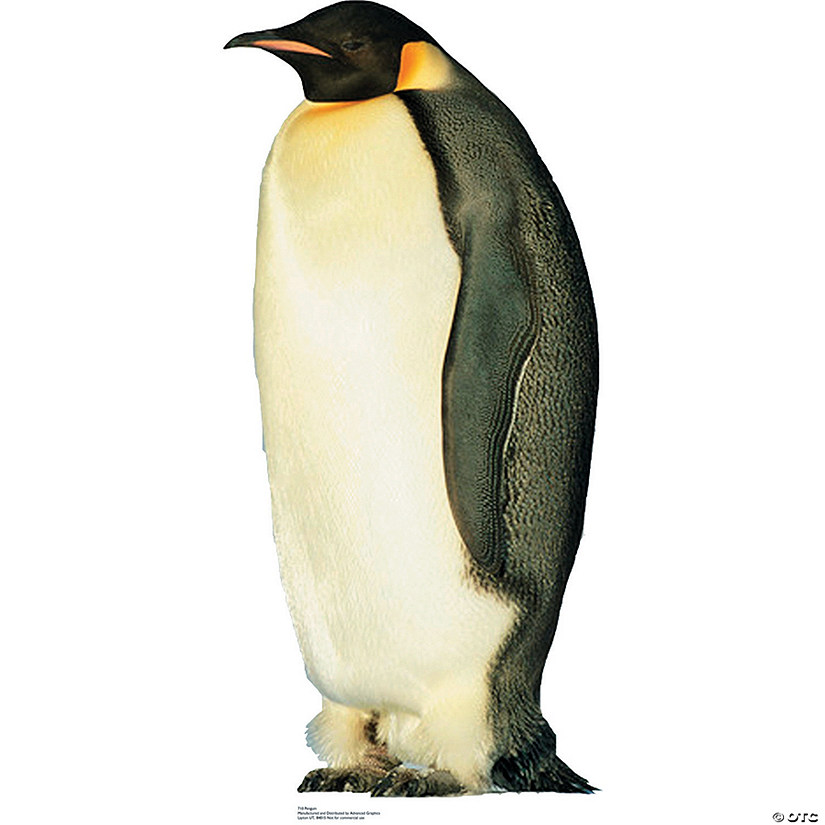 3 Ft. King Penguin Cardboard Cutout Stand-Up Image