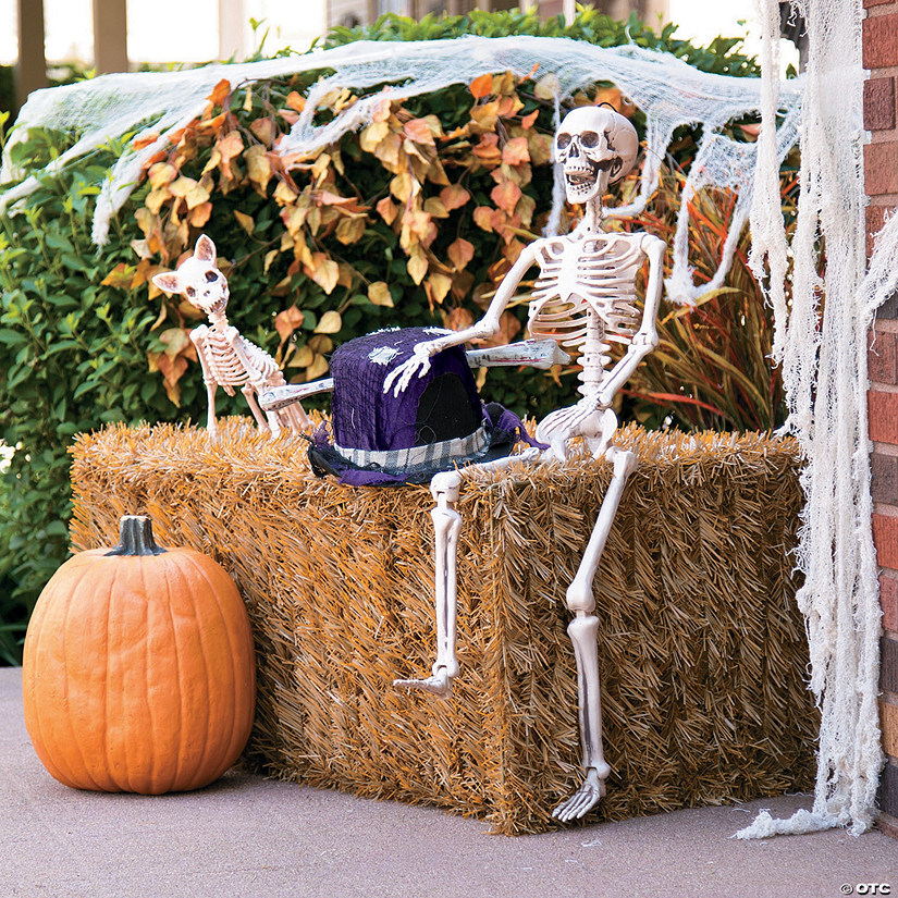 3' Posable Skeleton Halloween Decoration Image