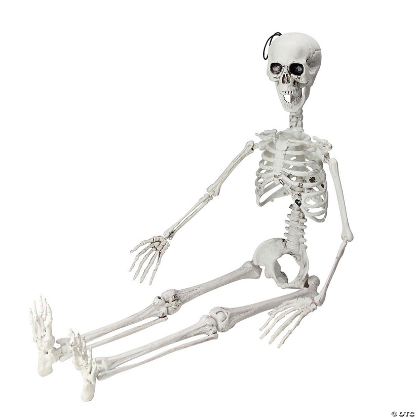 35" Jointed Hanging Skeleton Halloween Decoration Image