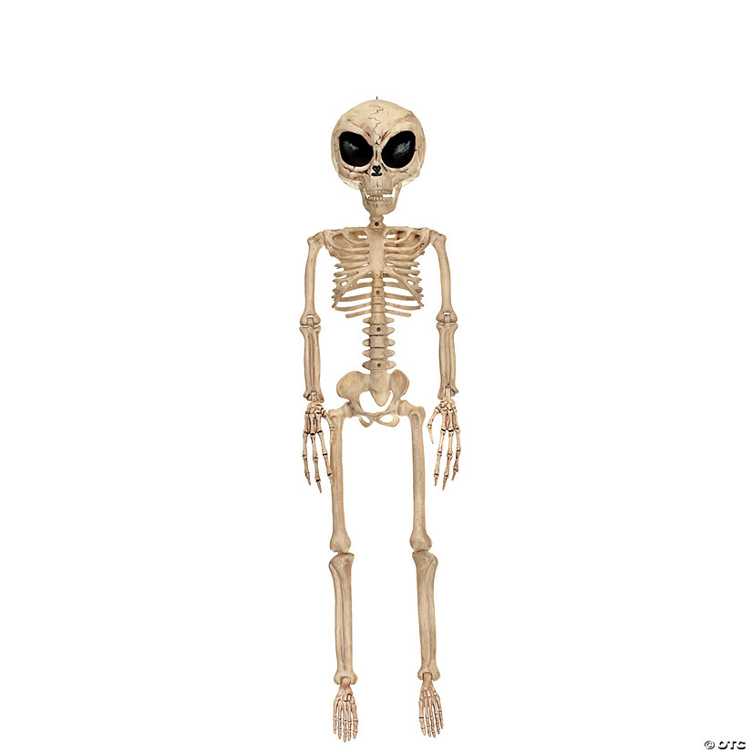 37" Alien Skeleton Decoration Image