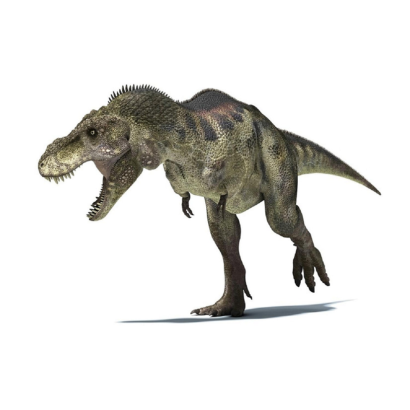 3D rendering of a Tyrannosaurus Rex dinosaur Poster Print 32 x 24
