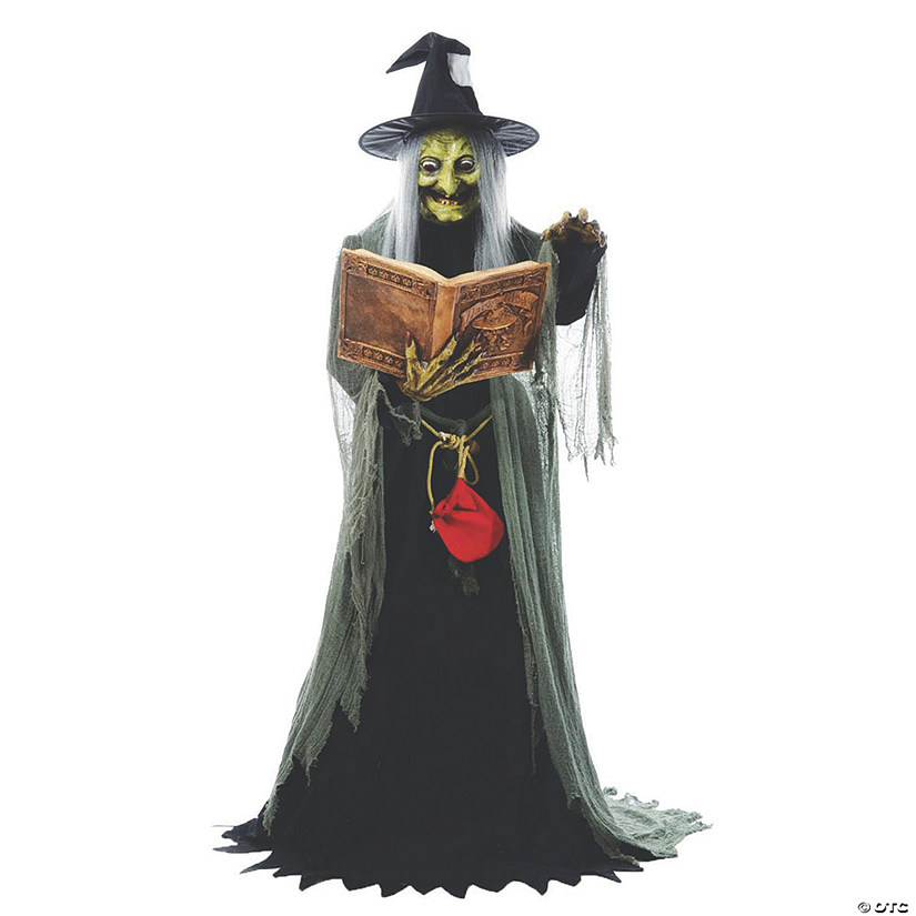 5.7' Animated Spell-Speaking Witch Halloween Decoration Image