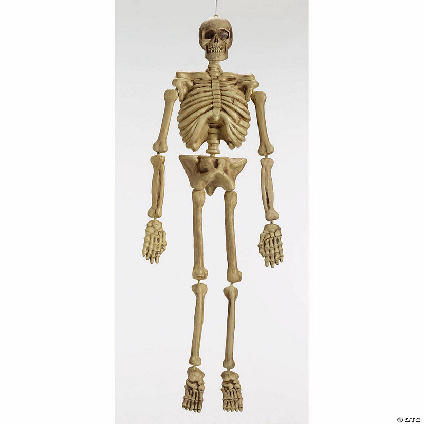5 Ft. Realistic Skeleton Halloween Decoration Image