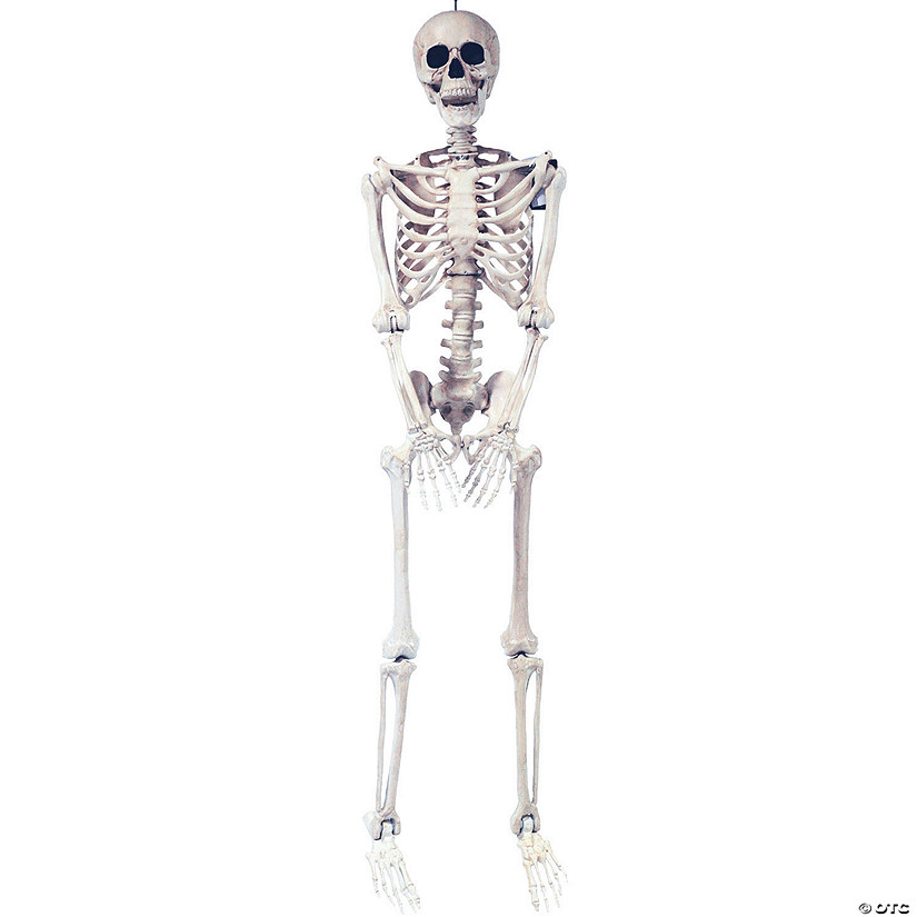 5 Ft. Skeleton Pose & Hold Halloween Decoration