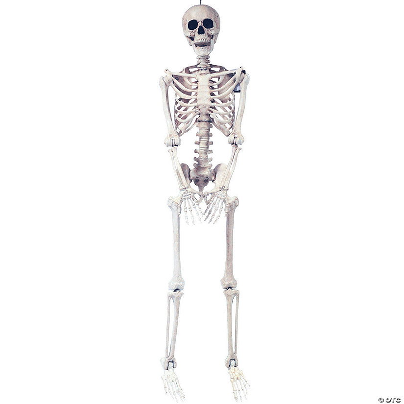 5 Ft. Skeleton Pose &amp; Hold Plastic Halloween Decoration Image