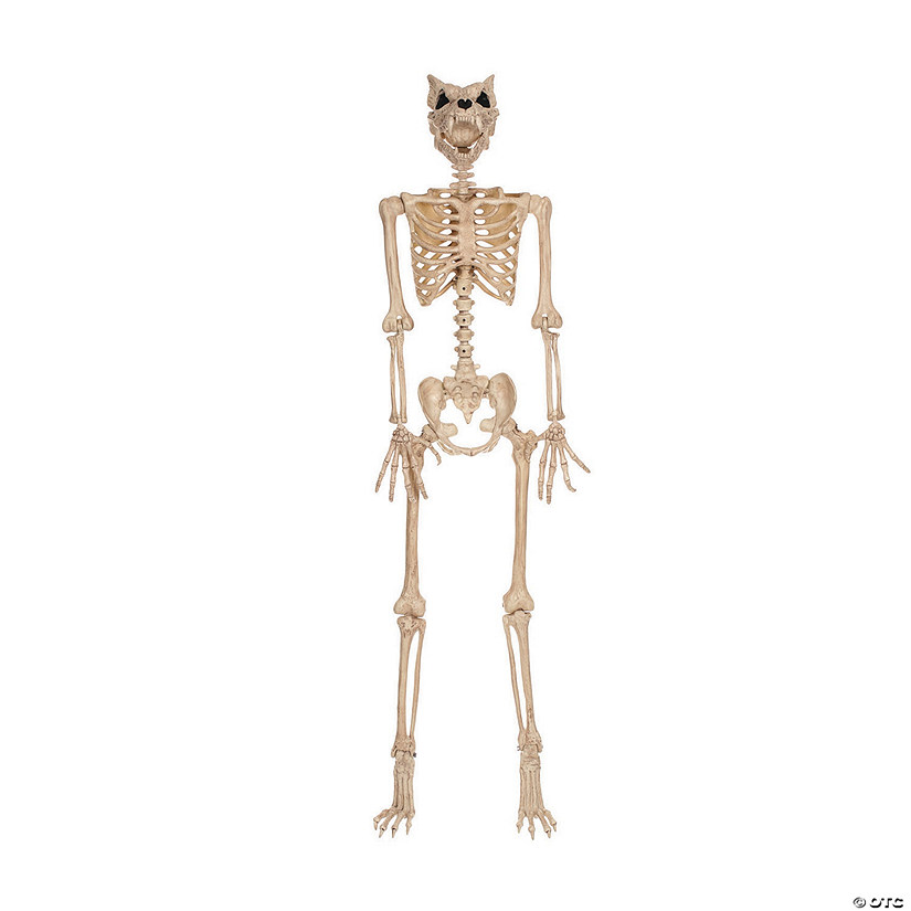 5 Ft. Werewolf Skeleton Halloween Decoration | Oriental Trading